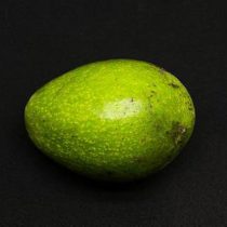 148dbcba0be411ecacfcb42e99ec04af_bddf270f0fbd11ecacfcb42e99ec04af