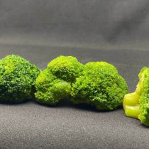 1d2f1f69131011e9bef54ccc6ad7de18_5efb0d1e96bd11ebbf754ccc6ad7de18