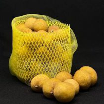 7fdc5e68161a11ecacfcb42e99ec04af_1f7044dc1ab711ecacfcb42e99ec04af