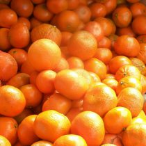 a7fc2d6c133c11e9bef54ccc6ad7de18_dc5db3b7108511ebbf4d4ccc6ad7de18