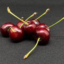 b4ec27b8839211e9bf0b4ccc6ad7de18_d9288b48b9ff11ebbf9a4ccc6ad7de18