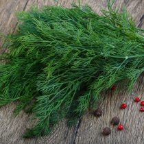 Зелень укропа свежая, 50 гр, шт