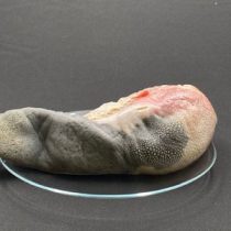 cb1e59db159811e9bef54ccc6ad7de18_39bbc7d441c811ebbf5b4ccc6ad7de18