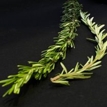 Розмарин 50 гр., цена за уп.